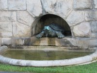 Tail of he Dragon July 2015 549 : Tail of he Dragon July 2015